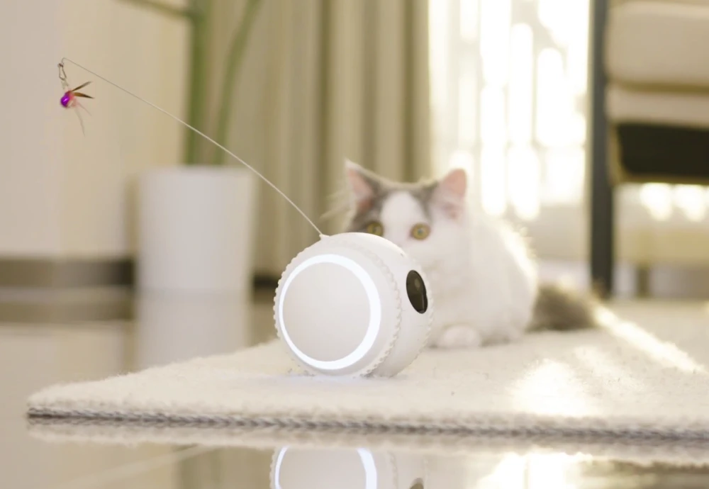 video camera for pets