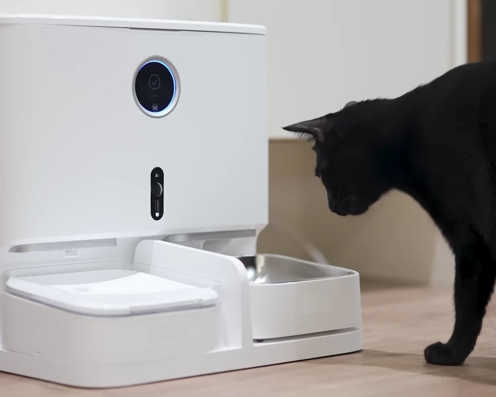 pet food and water dispenser